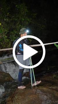 BIB:  <button type="button" onclick="openModal(27713290)" class="btn btn-primary btn-sm float-right" data-toggle="modal" data-target=".modal-high-quality">
                <i class="fa fa-download"></i> Download
                </button>